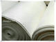 5mm Thickness Fluidizing Polyester Air Slide Fabric